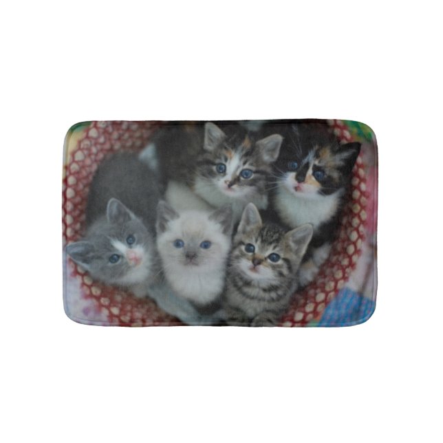 Kittens In A Basket Bath Mat (Front)