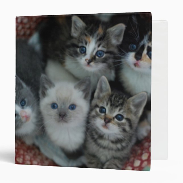 Kittens In A Basket Binder (Front/Inside)