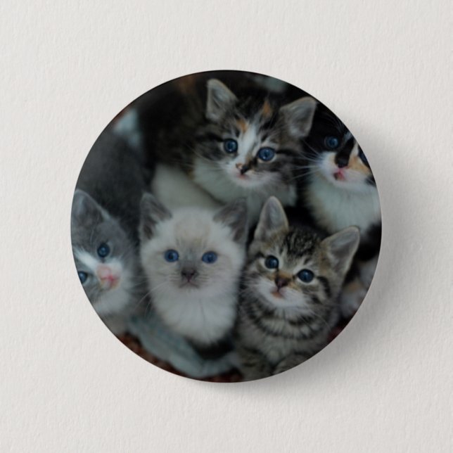 Kittens In A Basket Button (Front)