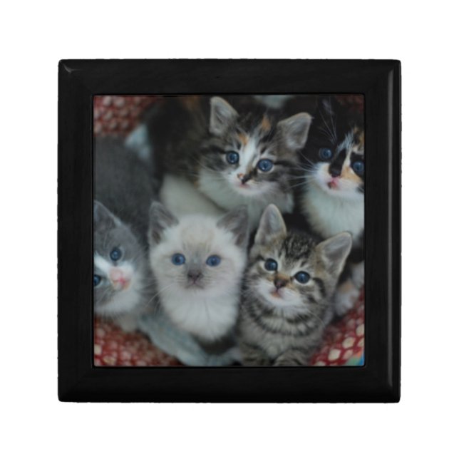 Kittens In A Basket Keepsake Box (Front)