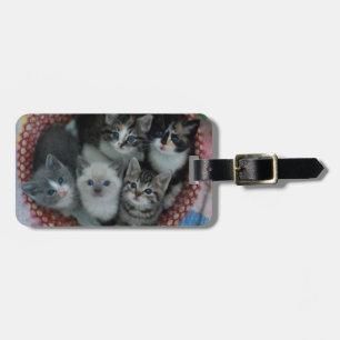 Kittens In A Basket Luggage Tag