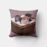 Kittens In A Basket Throw Pillow at Zazzle