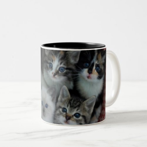 Kittens In A Basket Two_Tone Coffee Mug