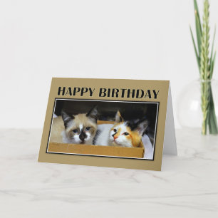 Kittens in a Box Happy Birthday Card