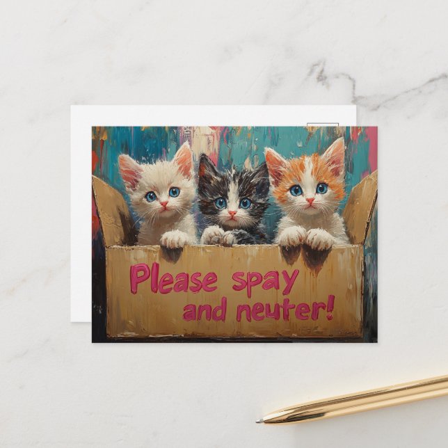 Kittens in a Box Please Spay and Neuter Postcard (Front/Back In Situ)