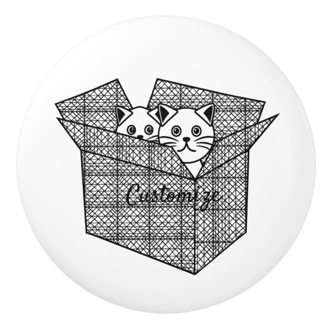 Kittens in a Box Thunder_Cove Ceramic Knob (Front)