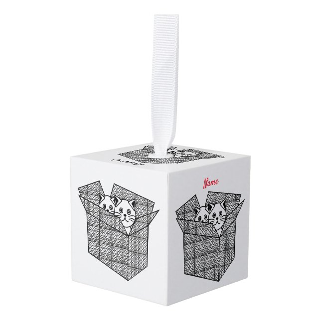 Kittens in a Box Thunder_Cove Cube Ornament (Front Angled)