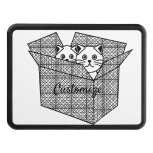 Kittens in a Box Thunder_Cove Hitch Cover