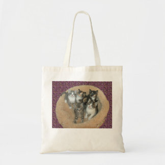 Kittens in a cat bed tote bag