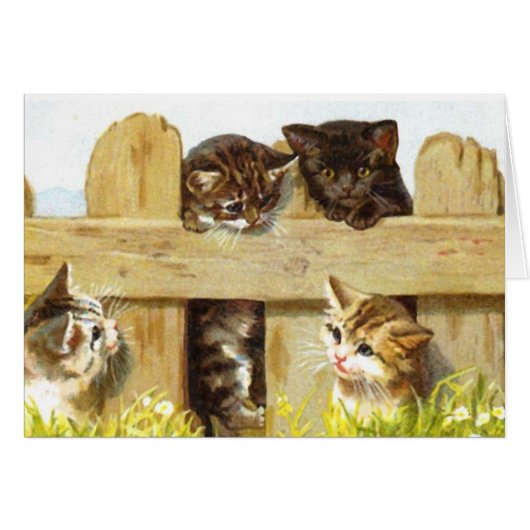 Kittens in a Fence Cards (Front Horizontal)
