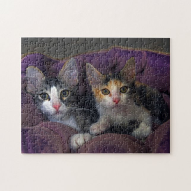 Kittens in a Purple Bed Jigsaw Puzzle (Horizontal)