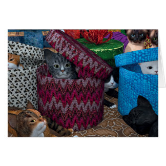 Kittens In Boxes