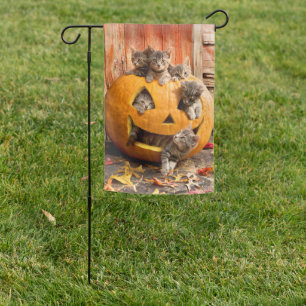Kittens in Jack-o-Lantern Garden Flag