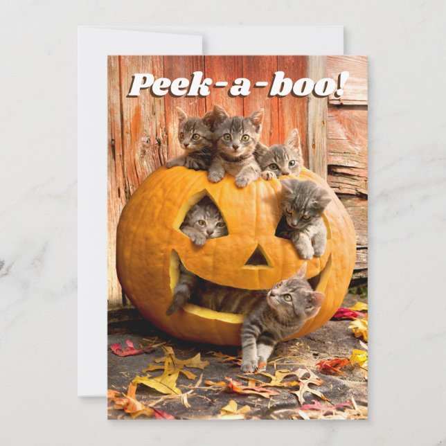 Kittens in Jack-o-Lantern Invitation (Front)