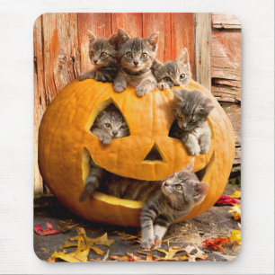Kittens in Jack-o-Lantern Mouse Pad