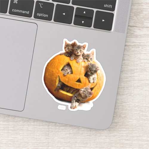 Kittens in Jack_o_Lantern Sticker