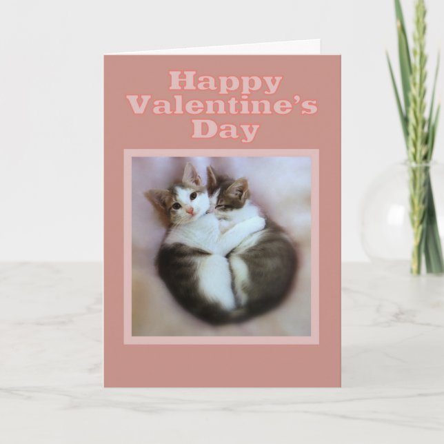 Kittens in Love Happy Valentine's Day Holiday Card (Front)