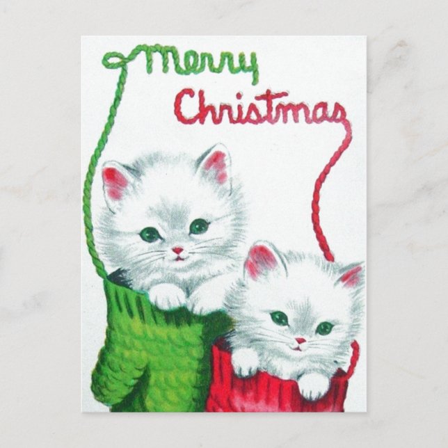 Kittens in Mittens Merry Christmas Holiday Postcard (Front)