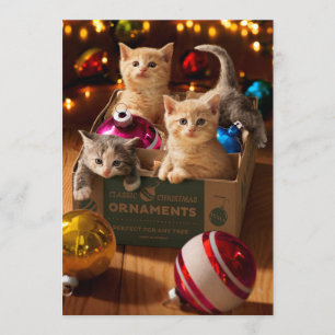 Kittens in Ornament Box Invitation