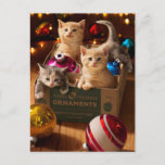 Kittens in Ornament Box Invitation Postcard