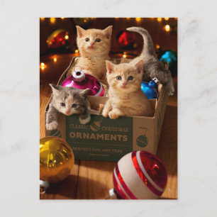 Kittens in Ornament Box Invitation Postcard