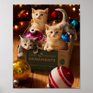 Kittens in Ornament Box Poster