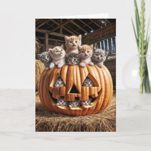 Kittens In Pumpkin for Birthday Card