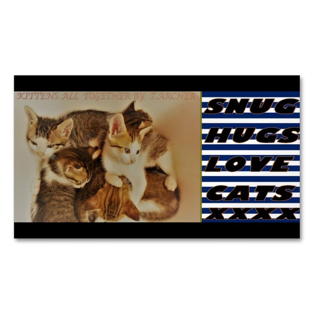 Kittens in repose picture original    business card magnet (Front)