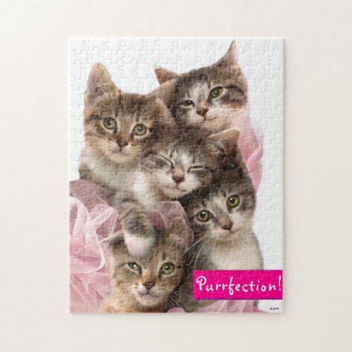 Kittens in Tutus Jigsaw Puzzle