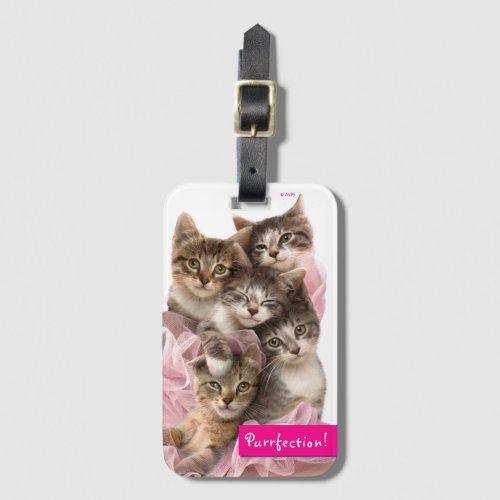 Kittens in Tutus Luggage Tag