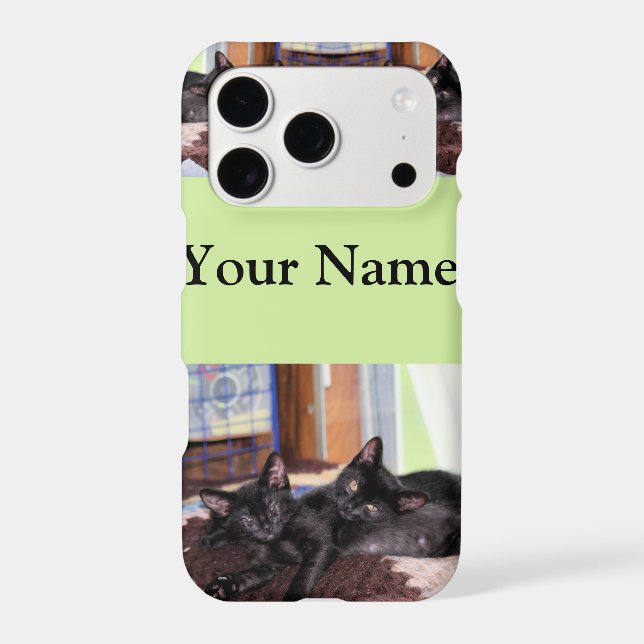 Kittens Iphone Case (Back)