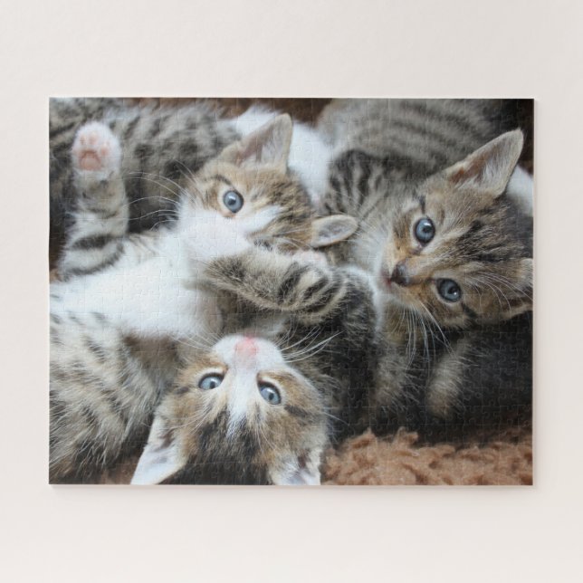 Kittens Jigsaw Puzzle (Horizontal)