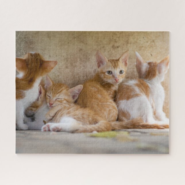 Kittens Jigsaw Puzzle (Horizontal)