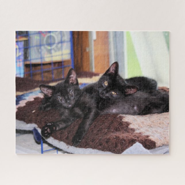Kittens  jigsaw puzzle (Horizontal)