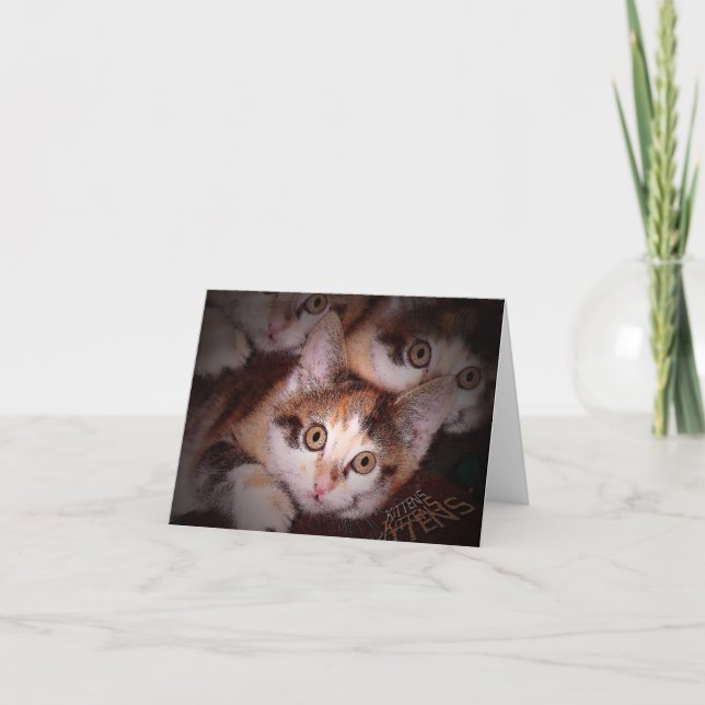 Kittens,Kittens,Kittens Greeting Card (Front)
