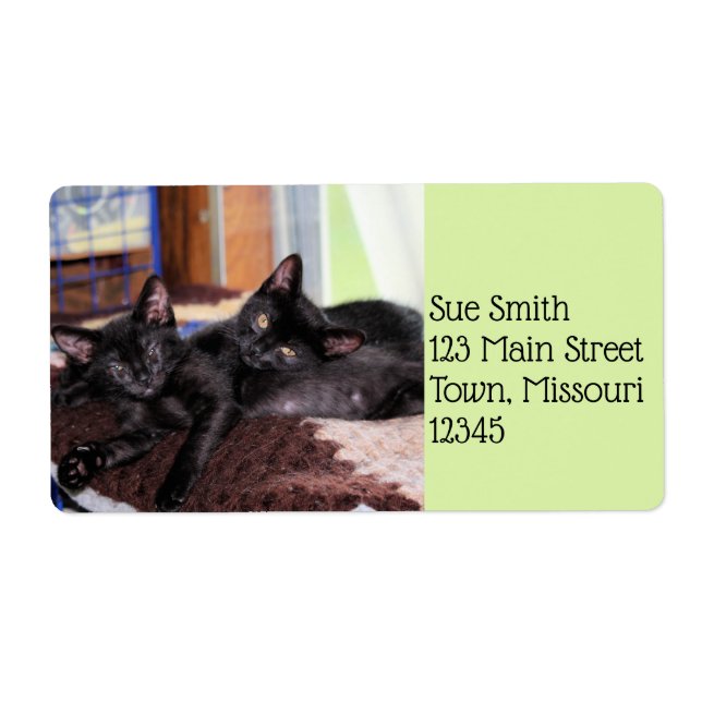 Kittens  label (Front)