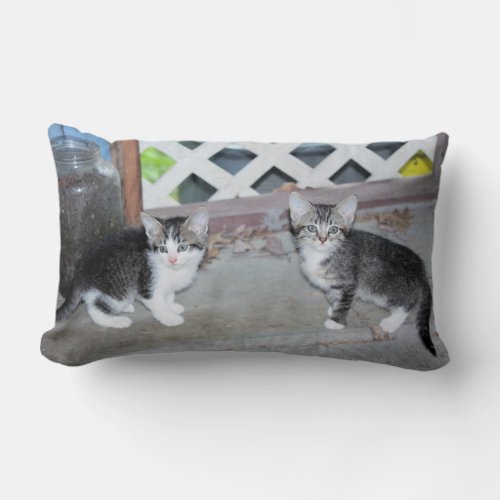 Kittens Lumbar Pillow