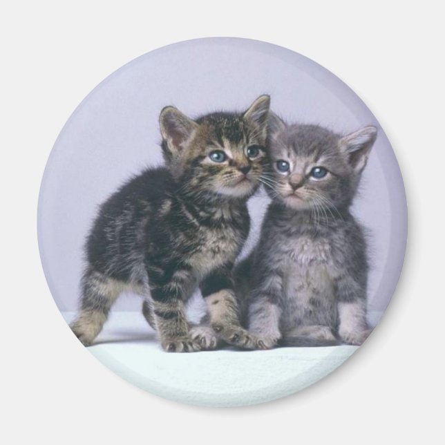 kittens magnet (Front)