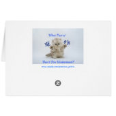 Kittens Meow Attitude Cards (Back Horizontal)