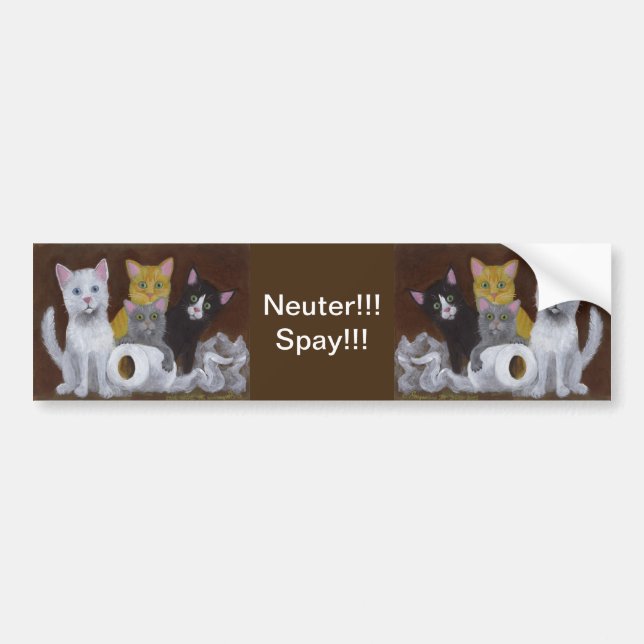 Kittens Neuter Spay Bumper Sticker (Front)