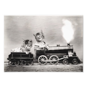 Kittens on a Train Photo Print