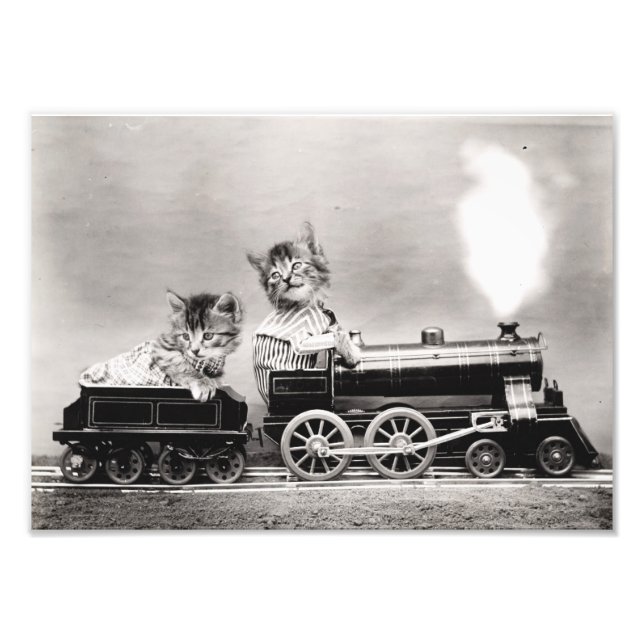 Kittens on a Train Photo Print (Front)