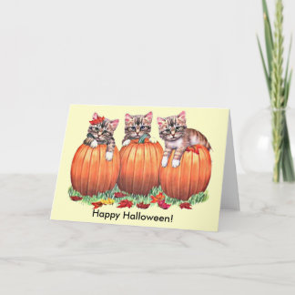 Kittens on Pumpkins for Halloween Card