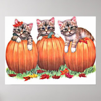 Kittens on Pumpkins Print