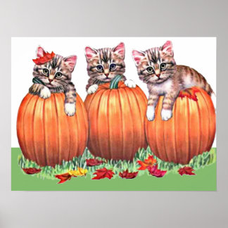 Kittens on Pumpkins Print