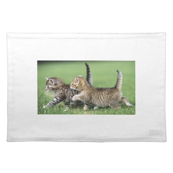 Kittens on the Prowl Placemats