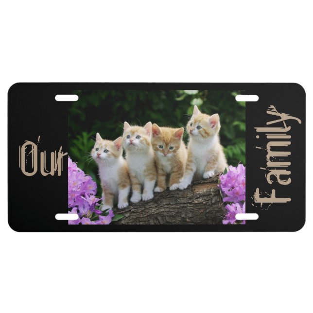 Kittens Our Family Aluminum License Plate (Front)