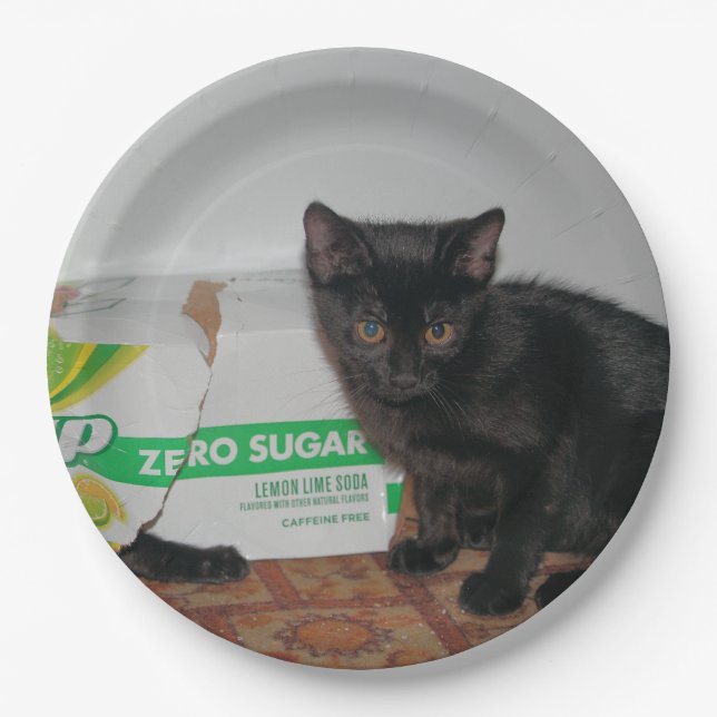 Kittens Paper Plates (Front)