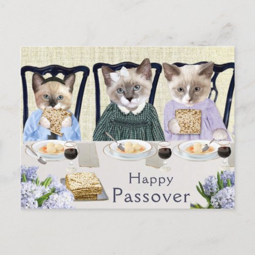 Kittens Passover Postcard