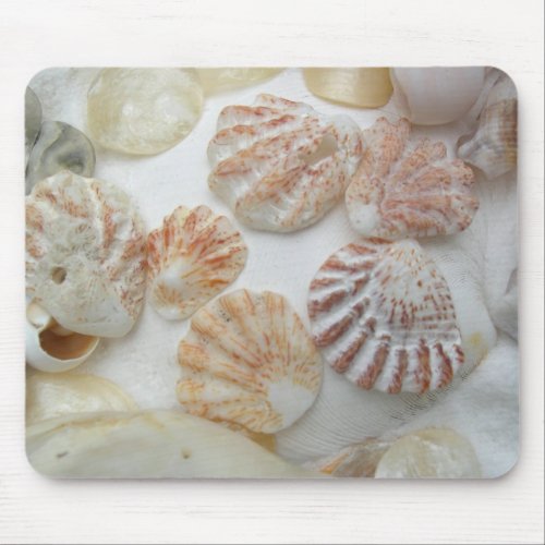 Kittens Paw Seashells Mouse Pad